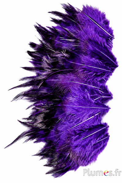 Gallo - 5-10 cm - viola-caffè